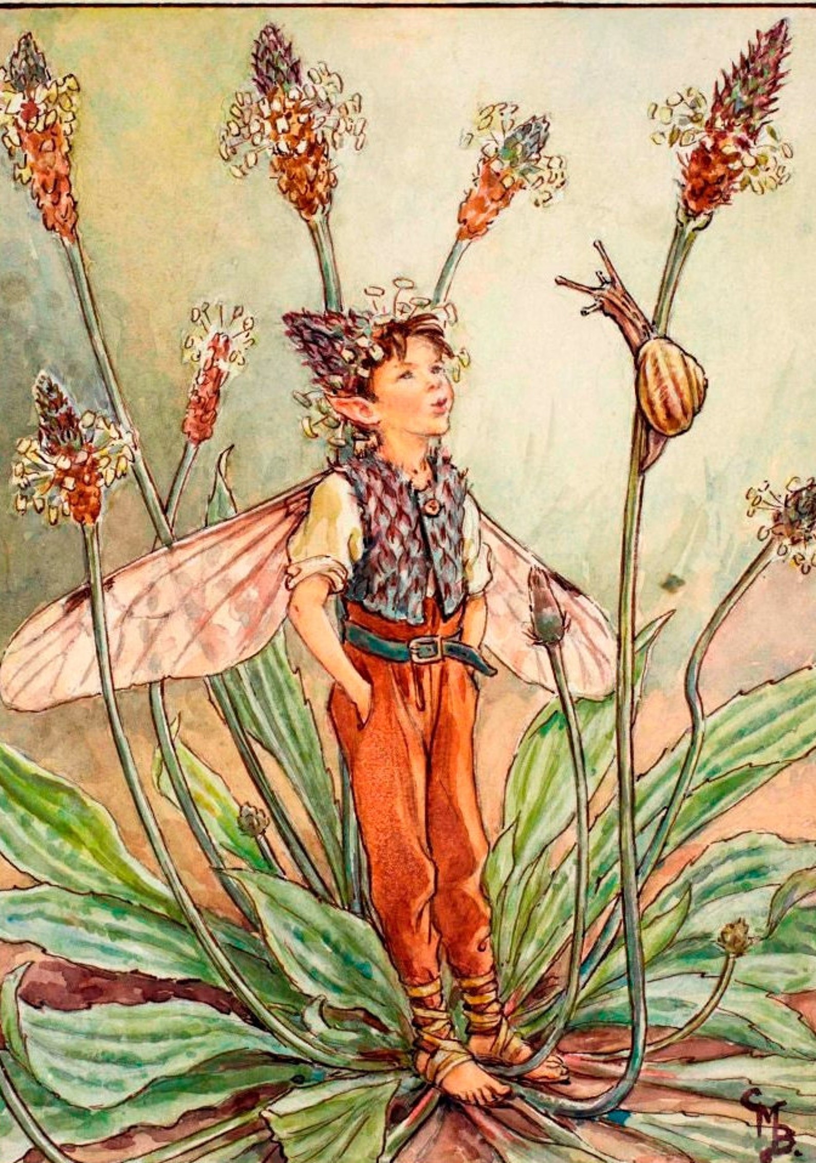 Flower Fairies Original Vintage Print From 50's/60's - Etsy