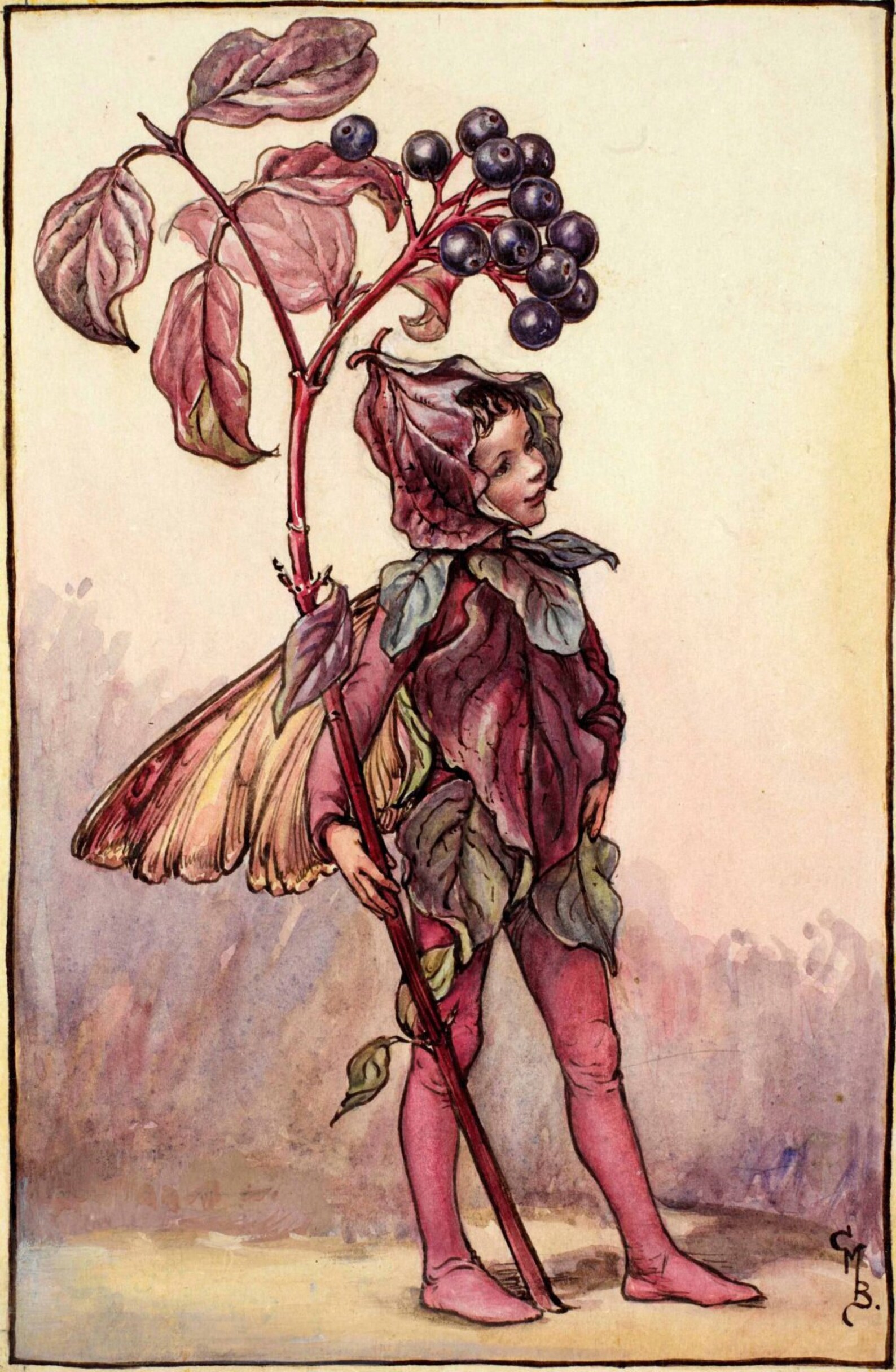 Flower Fairies Original Vintage Print From 50's/60's - Etsy