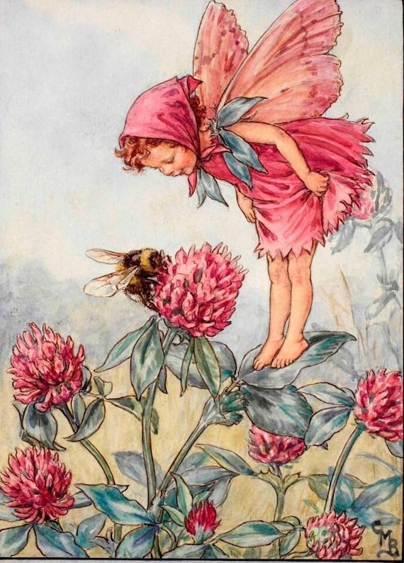 Flower Fairies Original Vintage Print From 50's/60's - Etsy