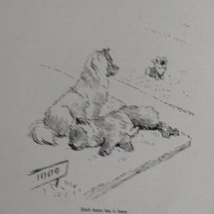 Original Vintage book plate from 1932  illustrated by Cecil Aldin choice of 8 prints