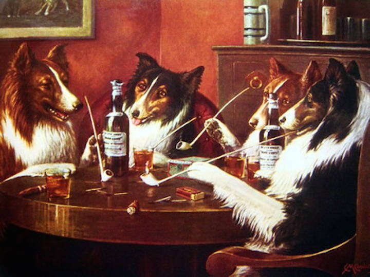 Cani Che Giocano Photograph Daniele Vita - Foto 7