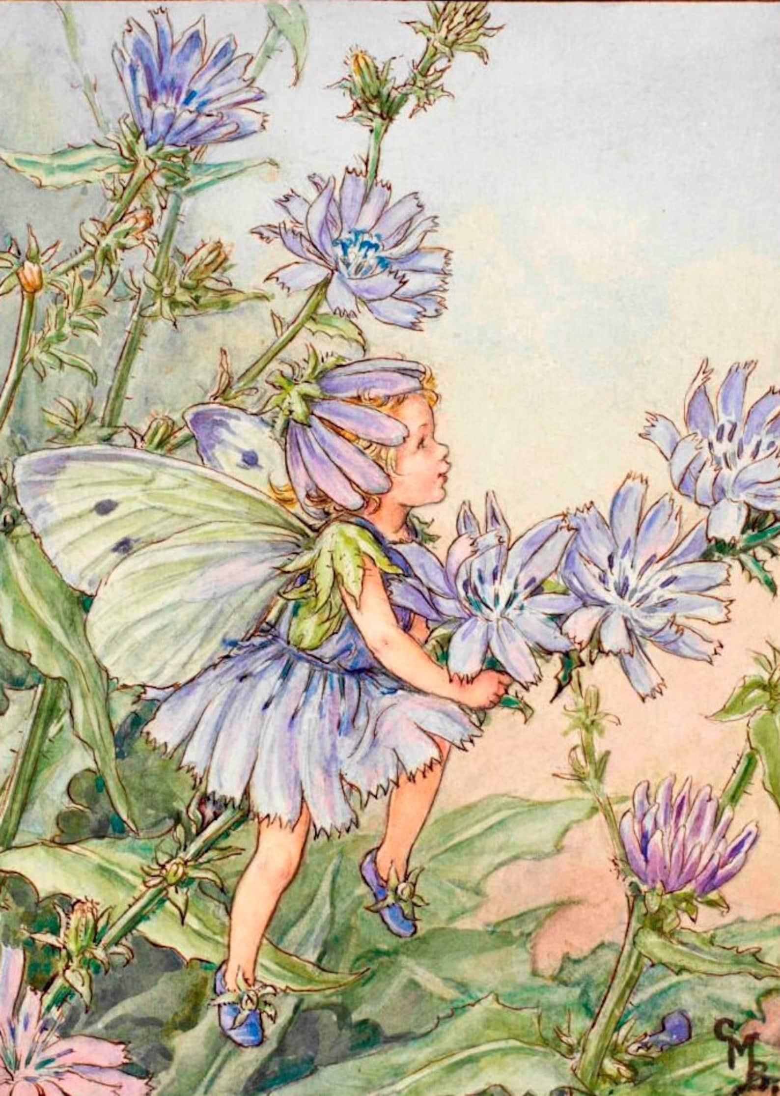 Flower Fairies Original Vintage Print From 50's/60's - Etsy