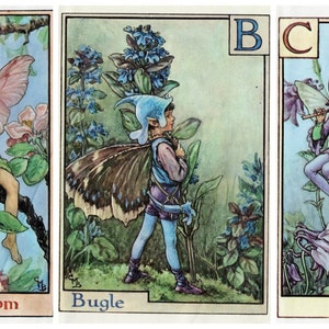 Cicely Mary Barker&#39;s Flower Fairies Alphabet Original Vintage Druck aus den 1950er / 60er Jahren von 24 wunderschönen Feen zur Auswahl
