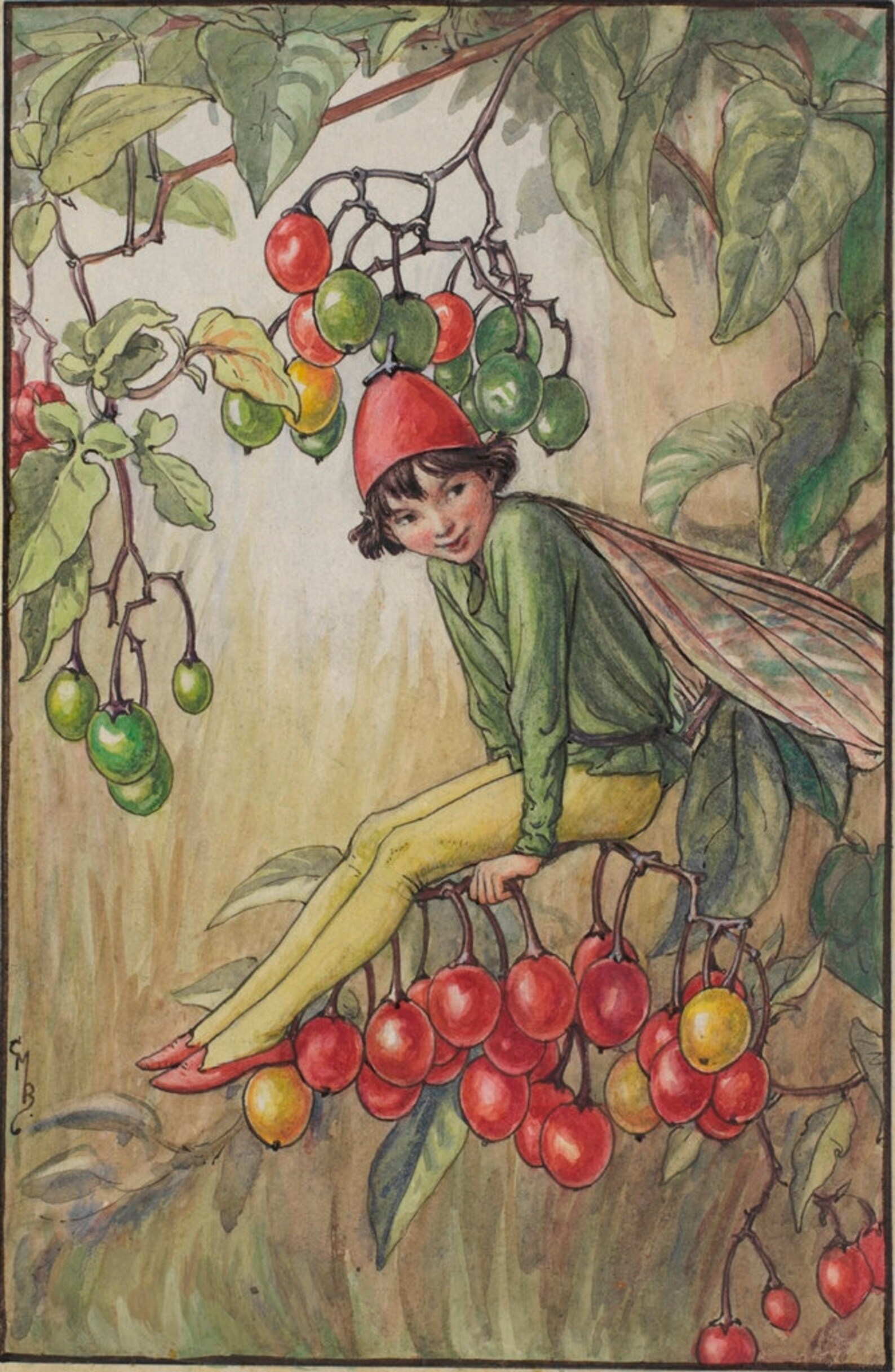 Flower Fairies Original Vintage Print From 50's/60's - Etsy
