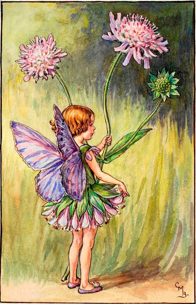 Flower Fairies stampa vintage originale degli anni '50/'60 scegli tra diverse splendide fate di campagna di Cicely Mary Barker su