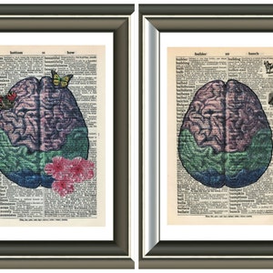 Human Brain vintage anatomy Unmounted/ Mounted Art Print. An original antique,dictionary book page. choose picture image 1