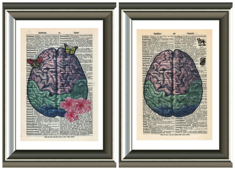 Human Brain vintage anatomy Unmounted/ Mounted Art Print. An original antique,dictionary book page. choose picture image 1