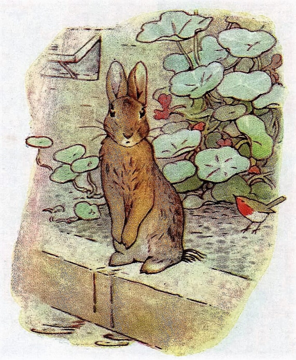 The TALE of PETER RABBIT Original Vintage print 1900's in Etsy