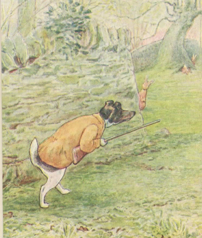 Peter Rabbit Jemima Puddleduck Mrs Tiggywinkle From the Tale of Ginger ...