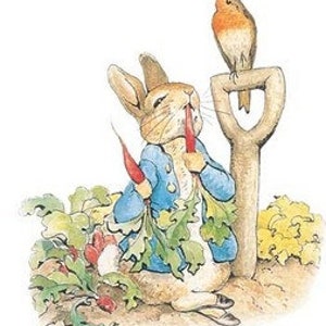 LA STORIA DI PETER RABBIT Stampa originale d'epoca del 1910 su supporto in cartoncino color crema di Beatrice Potter. Scelta di 10 stampe