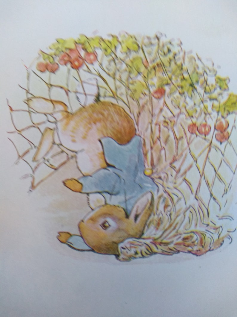 Peter Rabbit Original Tail The TALE of PETER RABBIT Original Vintage Print 1910 in Cream | Etsy