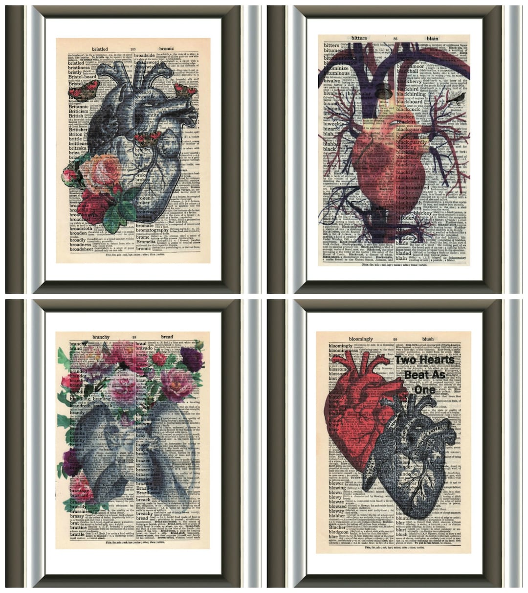 Human Heart Vintage Anatomy Mounted Art Print. an Original Antique ...