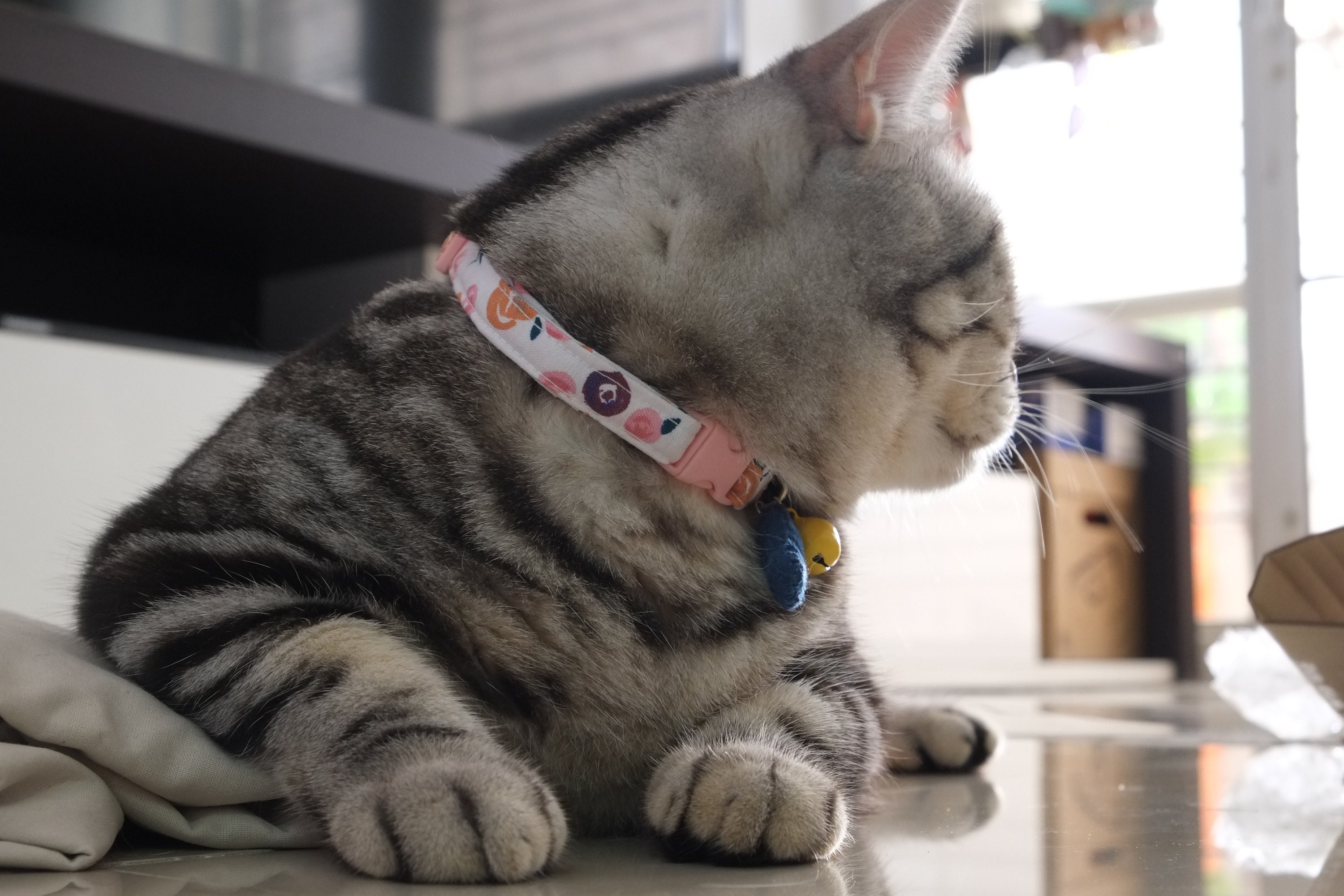 Reedition Cute Cat Collar pink roses cat collar code008 Etsy
