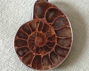Anhänger Ammonit Edelstahl Fossilien Brauntöne dekorativ