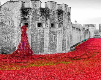 ロンドン塔のポピー、ポピー、第一次世界大戦記念碑、イングランド、ポートレート写真、白黒写真、写真アート、お土産、プリント、ギフト
