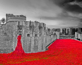 Tower of London poppy poppies Blood Swept Lands World War One Memorial England Photograph Print