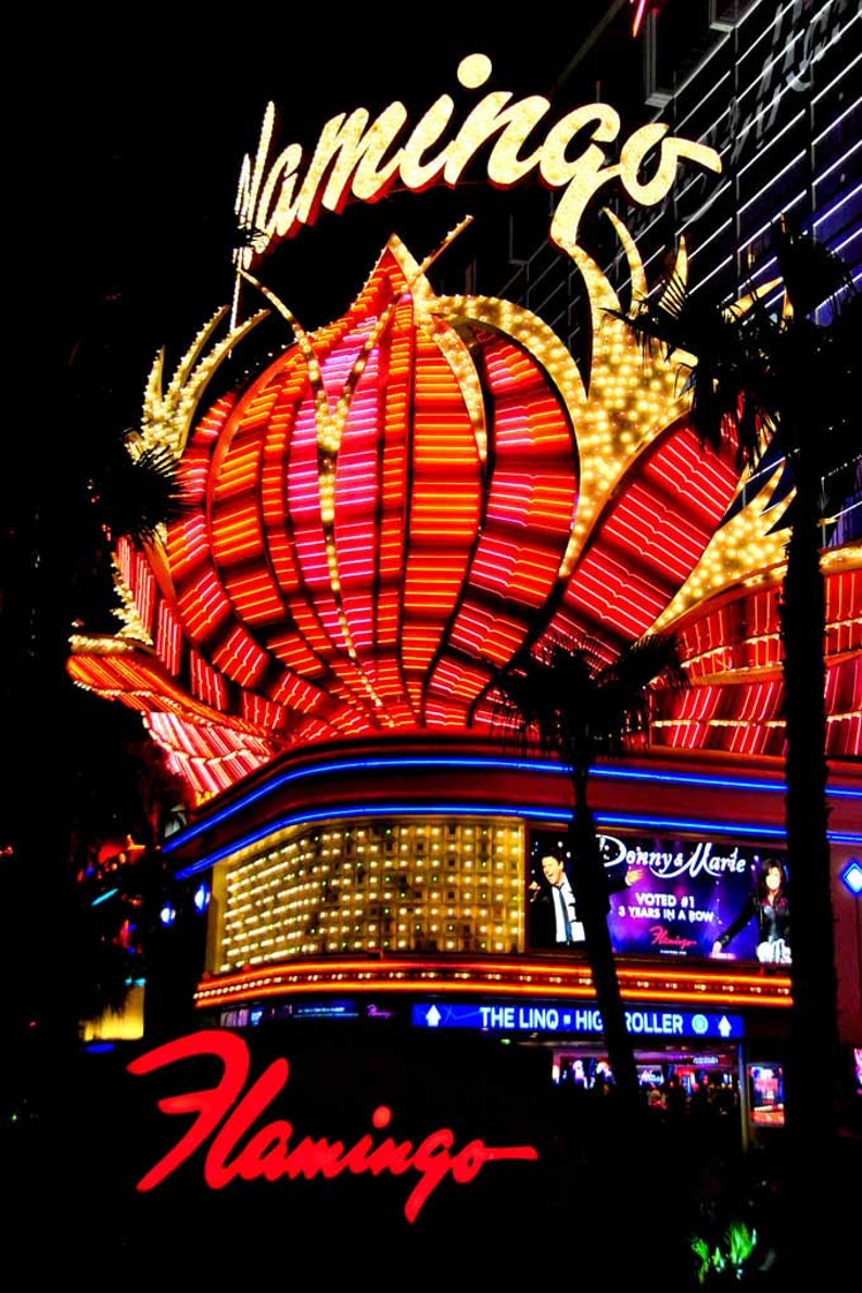 Flamingo Las Vegas Hotel Neon Signs United States of America Photograph Print