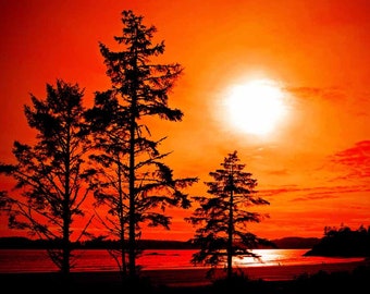 Sunset Long Beach Tofino Vancouver Island Canada Photograph Picture Print