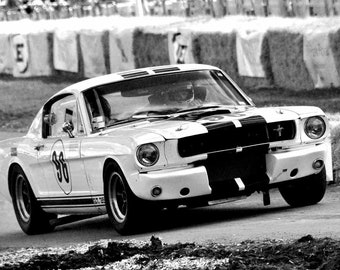 Ford Mustang GT 350 Sports Motor Car Auto Vehicle Photograph Picture Print