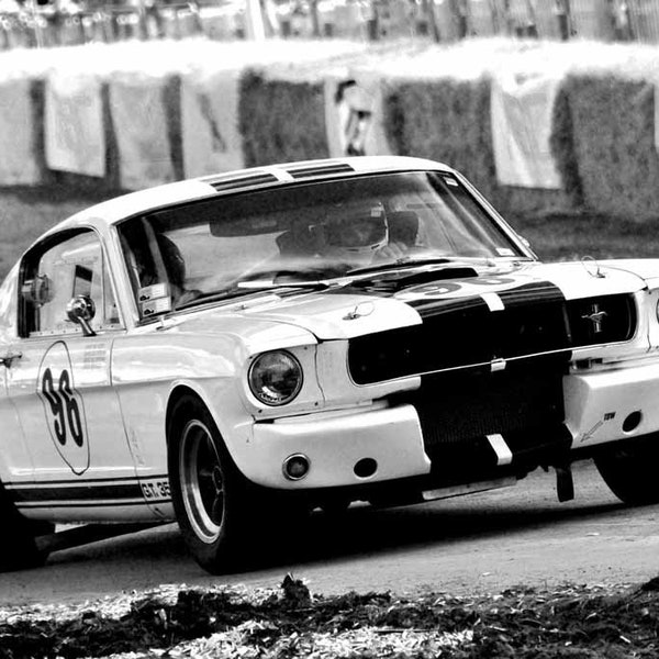 Ford Mustang GT 350 Sports Motor Car Auto Vehicle Photograph Picture Print