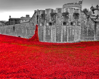 ロンドン塔のポピー、ポピー、第一次世界大戦記念碑、イギリスの風景写真、白黒写真、写真プリント
