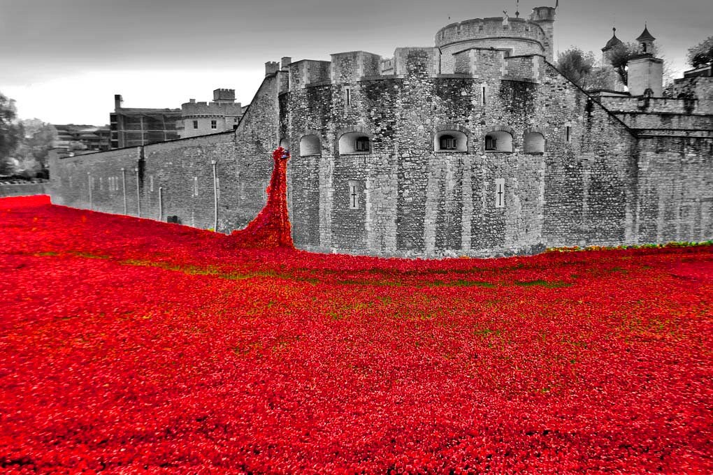 Tower of London Poppy Poppies World War One Memorial England Etsy UK