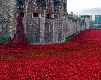 ロンドン塔のポピー 血に染まった土地 赤い海 第一次世界大戦記念碑 イングランド 写真