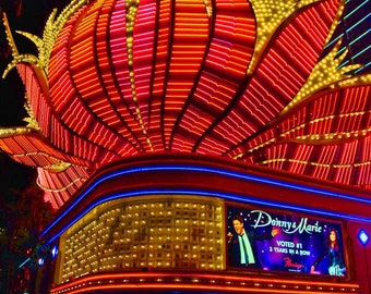 Flamingo Hotel Neon Signs Las Vegas United States of America Photograph Picture Print