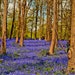 see more listings in the England Landscapes section