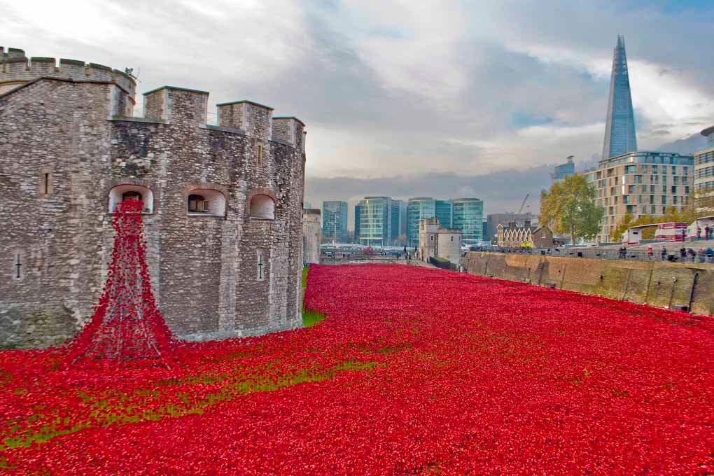 Tower of London Poppy Seas of Red Poppies England Photograph Etsy UK