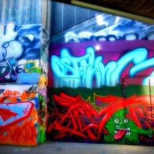 Peut inclure: Une fresque de graffiti colorée avec de la peinture bleue, violette, verte, rouge et orange. La fresque représente une grande créature verte de style cartoon avec une langue rouge qui sort. La créature est entourée de formes et de lignes abstraites.