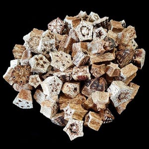 May include: A pile of brown and white star-shaped wood pieces. The wood pieces are all different sizes and shapes, and they are arranged in a random pattern.