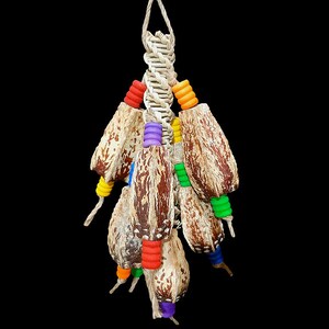 Mahogany Maypole Bird Toy | Shreddable Mahogany Pod Small Parrot Toy