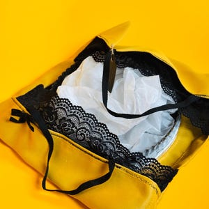 Pie, Casserole, Cake carrier Bag