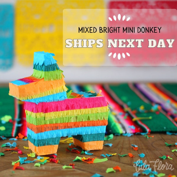 SHIPS NEXT DAY | Mixed Bright Mini Donkey Pinata Party Favors | Cinco de Mayo Fiesta Decoration | Mexican Wedding Decorations | Treat Box