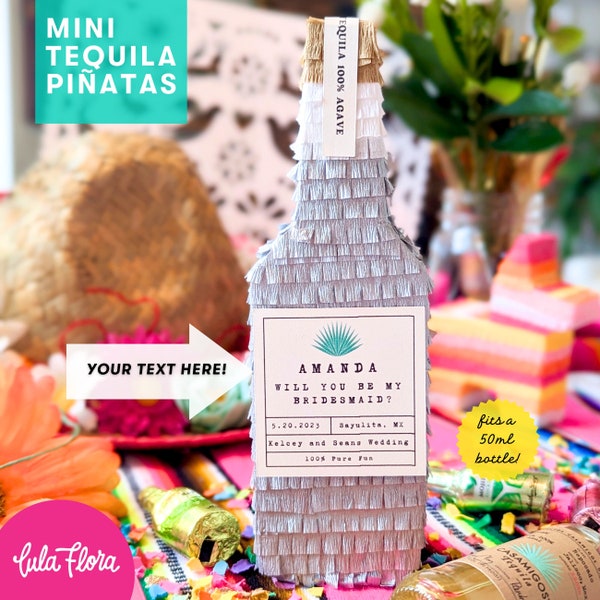 Bridesmaid Proposal (1), Mini Tequila Piñata, Bridesmaid Gift Box, Bridesmaid Card, Destination Wedding, Hangover Kit, Mexico Welcome Bag