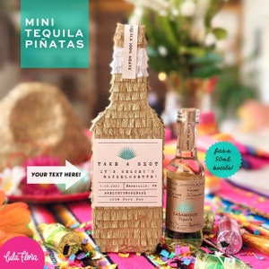 Tequila Bridesmaid Proposal 1, Mini Tequila Piñata, Bridesmaid Gift, Cinco de Mayo, Bachelorette Gift, Hangover Kit, Mexico Welcome Bag image 1