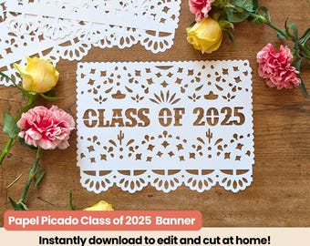 Afstuderen 2025 Papel Picado Banner SVG (digitale download)