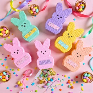Personalized and Fillable Easter Bunnies for Kids | Basket Stuffers | Custom Easter Gifts | Marshmallow Bunny