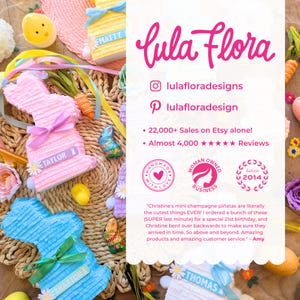 Personalized and Fillable Easter Bunnies for Kids | Basket Stuffers | Custom Easter Gifts | Marshmallow Bunny
