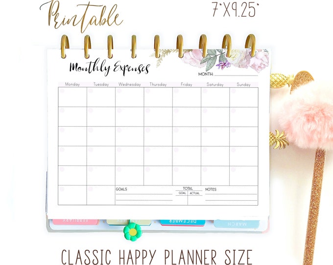 Expense Tracker Printable made to fit Classic Happy Planner Inserts Printable, Budget Planner Printable 7 x 9