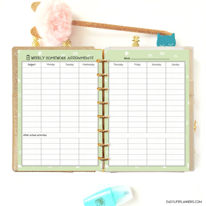 Back to School Planner School Supplies homeschool A5 Filofax Etsy