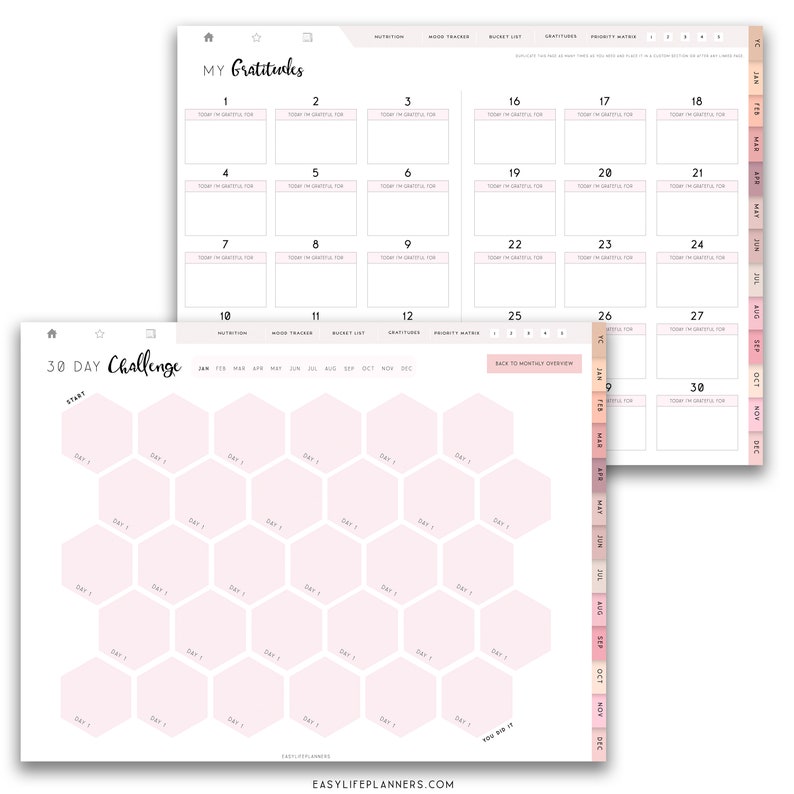 Digital Wellness Planner for iPad, Notability Planner, XODO Planner, Goodnotes Planner, Habit Tracker image 6