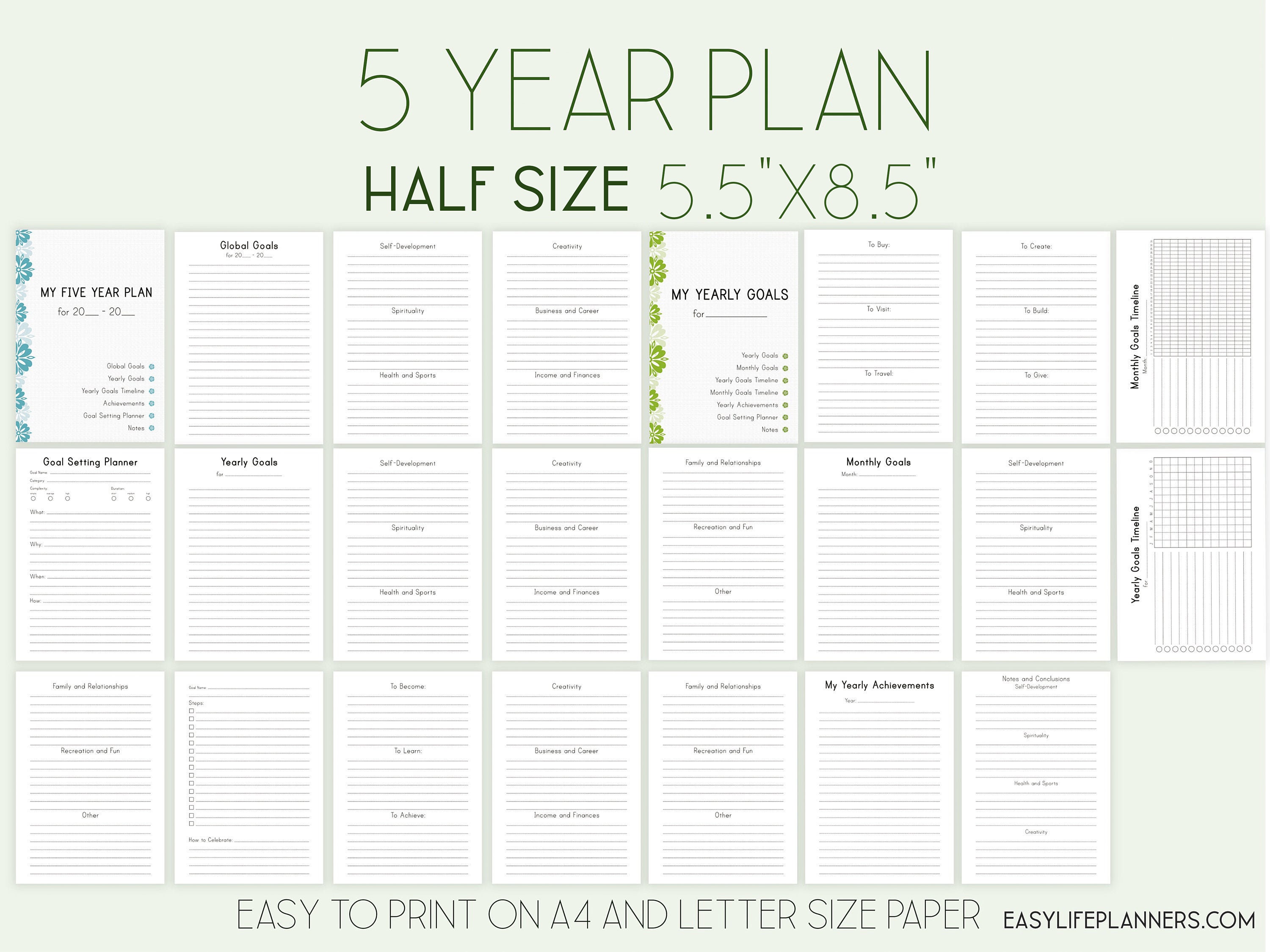 избыточный капитал. Plans for the year. Next year plan. Five year plan.