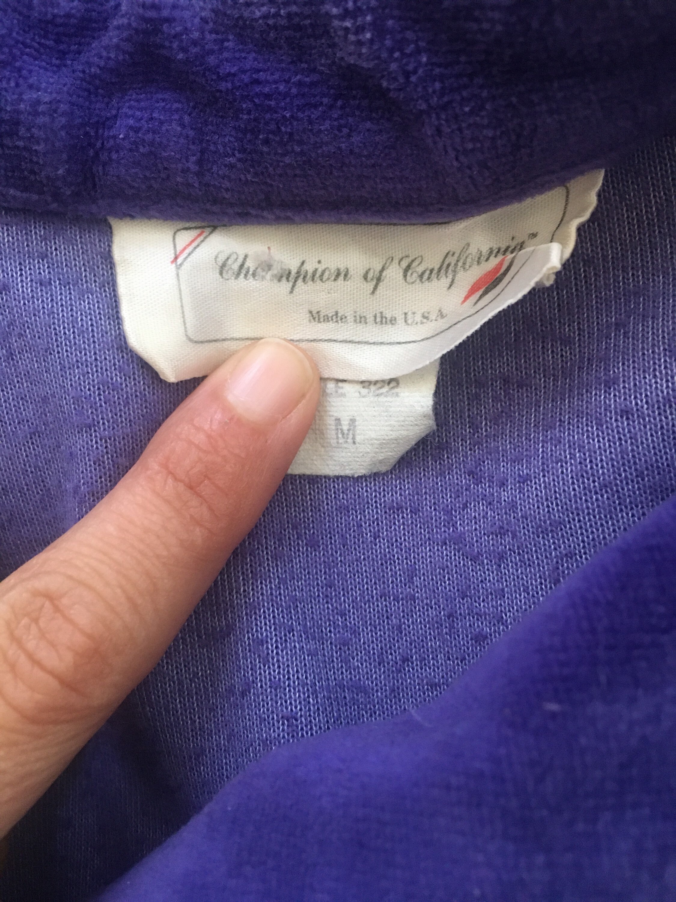 ExpandingBeing 1970 80 s Champion Velour Track Top