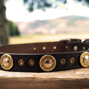 Bullet Dog Collar Etsy