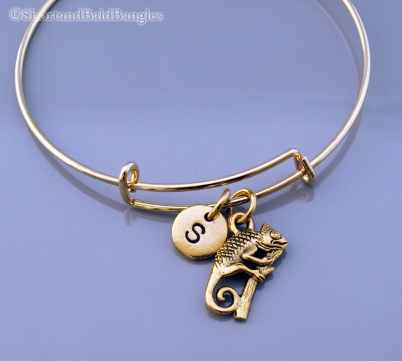 Chameleon Bangle Chameleon charm bracelet Gold Chameleon Etsy