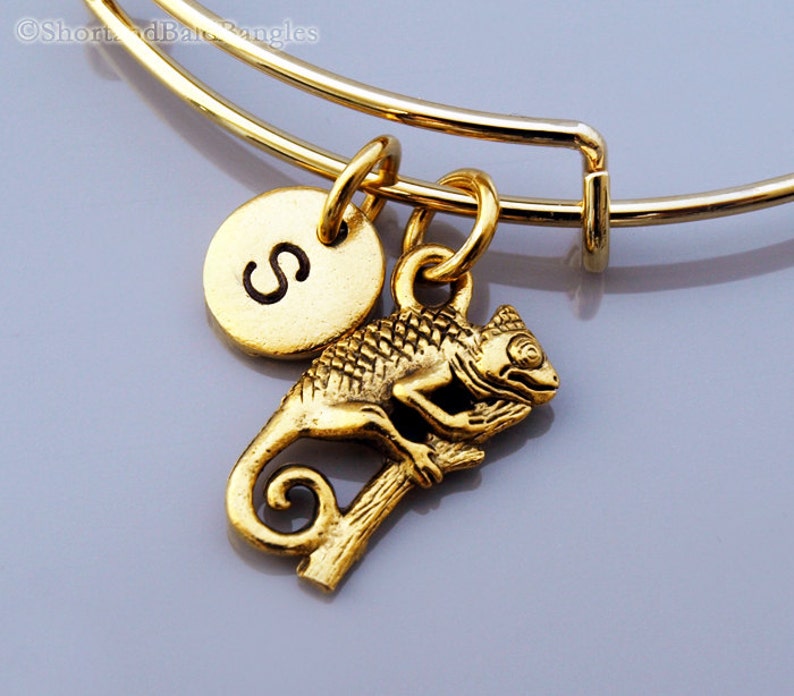 Chameleon Bangle Chameleon charm bracelet Gold Chameleon Etsy