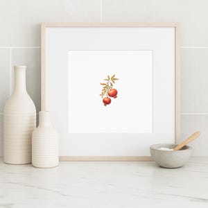 Miniature Pomegranate Watercolor Print: Ruby Red Fruit Kitchen Art