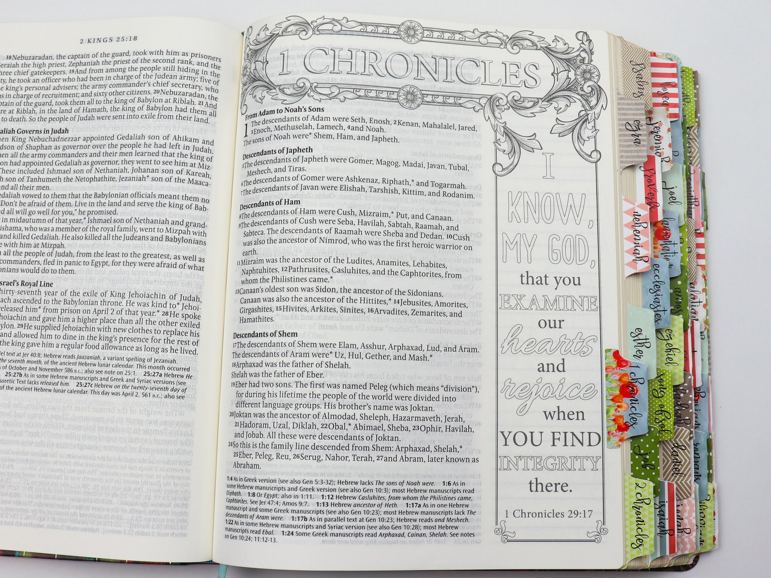 NLT Large Print Journaling Bible Bundle Colorful Cover NLT | Etsy